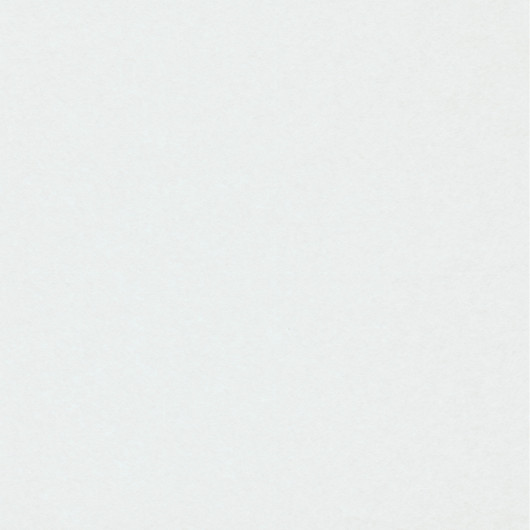 Papier à peindre lisse blanc ROLLOVER DÉCO par Erismann