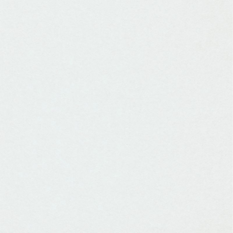 Papier à peindre lisse blanc ROLLOVER DÉCO par Erismann