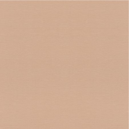 Papier peint vinyle sur intissé uni rose gold TROPICAL HOUSE- Gravure rouge par Rasch - 687576
