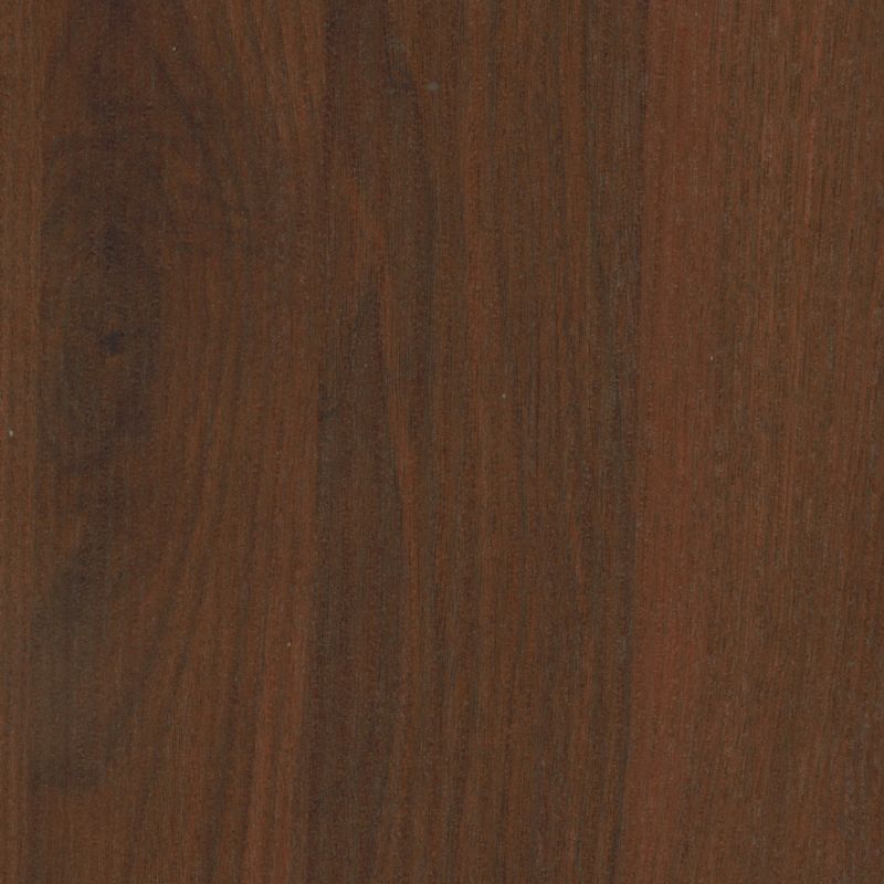 MONTANA - Bande de chant