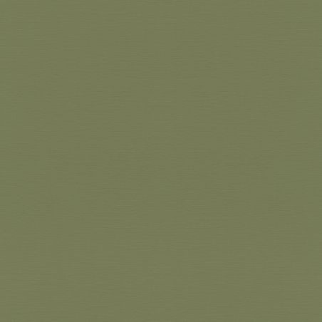 Papier peint Vinyle sur intissé uni vert KAKI - Essentiel par Rasch - 687538