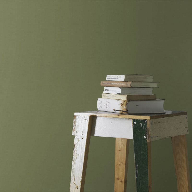 Papier Peint vinyle intissé Fougère - vert et beige - RASCH - 465334