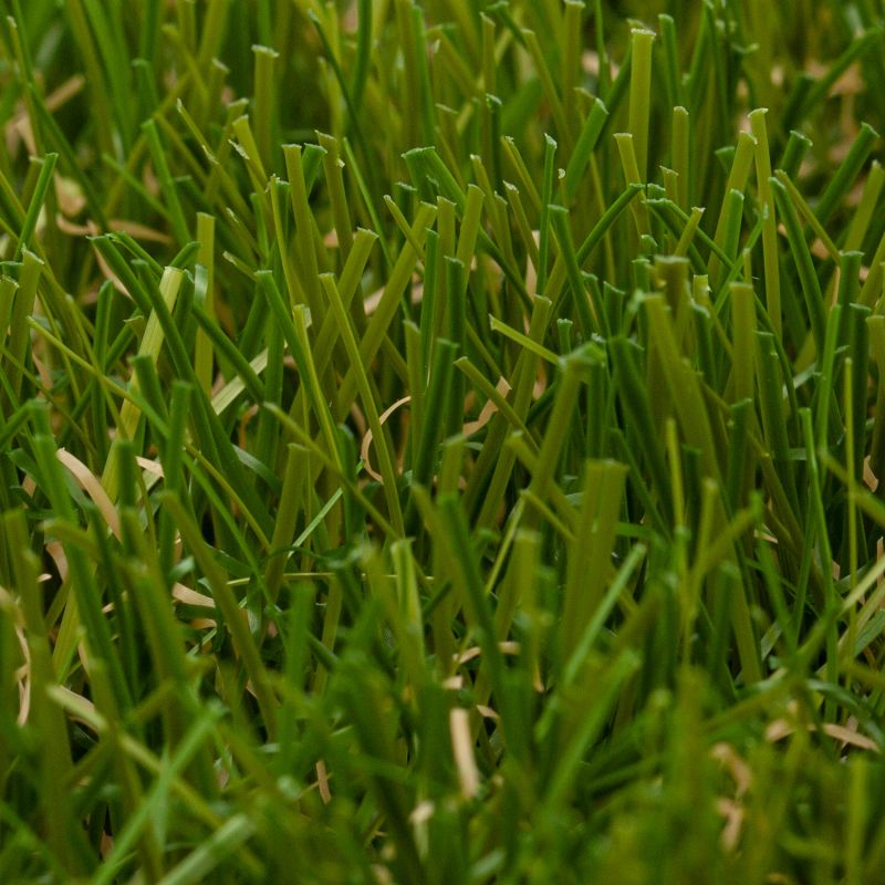 Sol Gazon - 4m - gazon synthétique vert avocadoMYSTIQUE 6909 - Oryzonpar Orotex - MYSTIQUE6909-4M