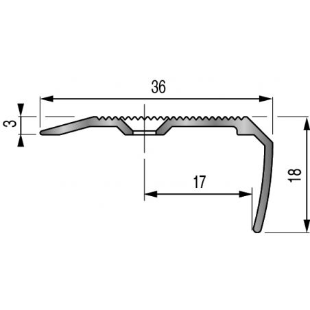 Nez de marche à visser- 300cm x 36mm x 18mm - Alu naturel TECNIS par Dinac