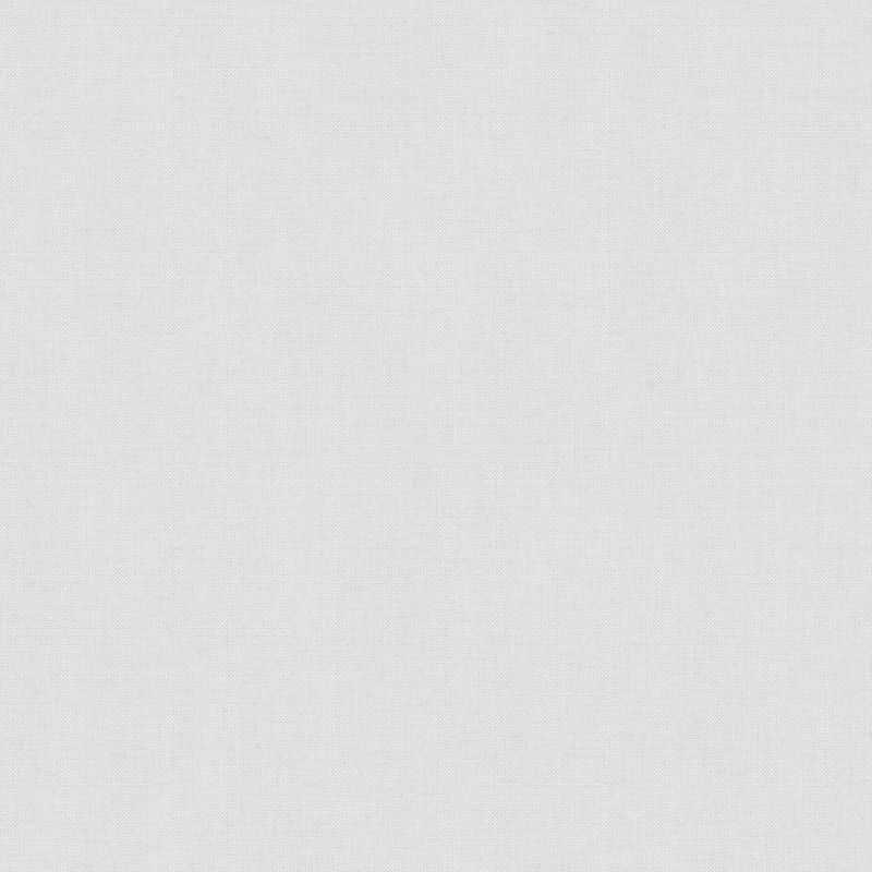Papier peint vinyle sur intissé uni gris clair TISSAGE - Imprim'Luxe par Ugepa - M55147 Papier peint vinyle sur intissé uni gris clair TISSAGE - Imprim'Luxe par Ugepa - M55147