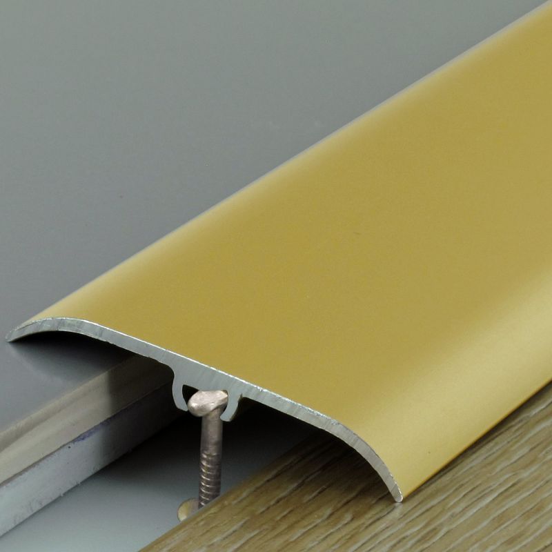 Seuil de porte invisible multi-niveaux - 270cm x 47mm - Or DINAFIX par Dinac