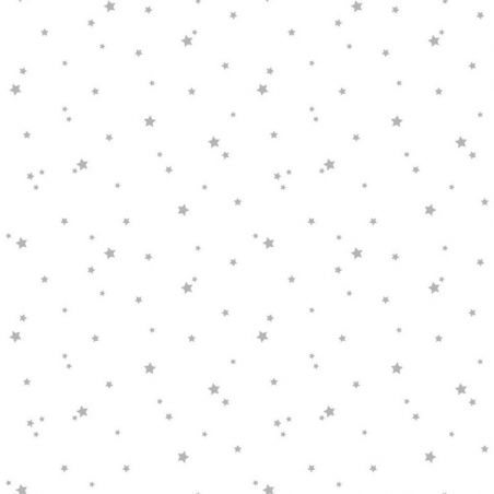 Papier peint standard étoiles argent ETOILE ARGENT - Pretty lili par Caselio - 69239000