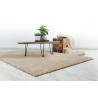 Tapis de salon - 120x170cm - Uni / Faux-uni beige Harmony par Lalee