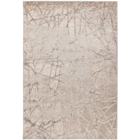 Tapis de salon - 120x170cm...