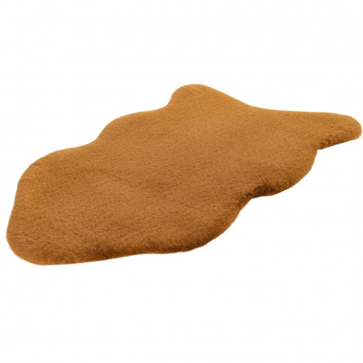 Tapis de salon - 60x90cm -...