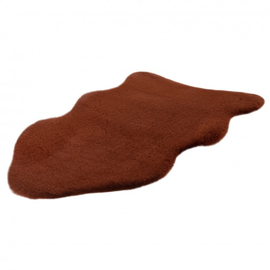 Tapis de salon - 60x90cm -...