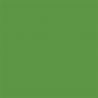 Sol Vinyle/PVC - 2m - uni vert gazon DJ GRASS GREEN- Exclusive 260 par Tarkett