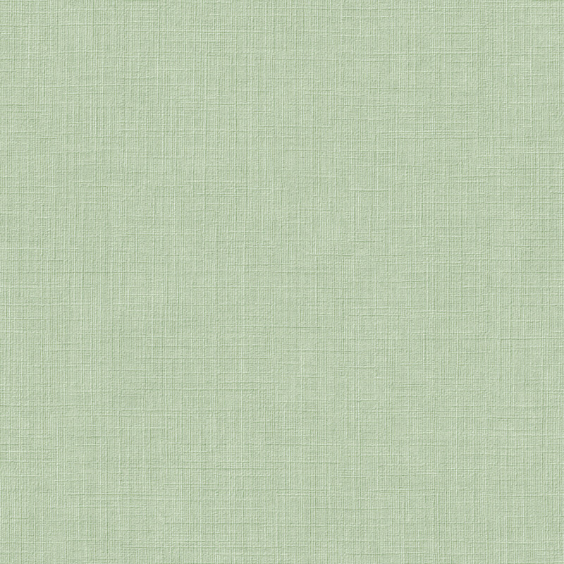 Papier peint vinyle sur intissé uni vert BASIC   - Arcadia par Grandeco - A71008
