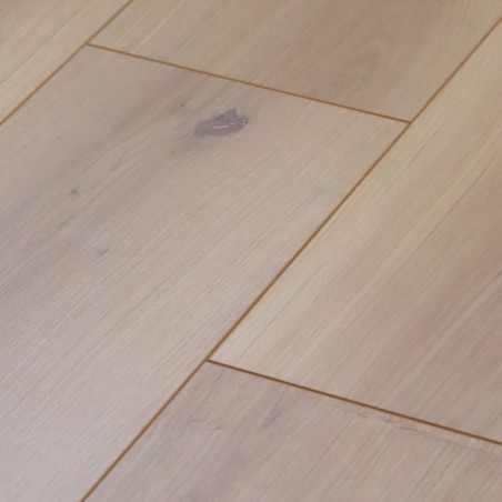 Sol Stratifié - CHENE BLOND HUILE MAT RUSTIQUE 465 - Tradition  par Balterio