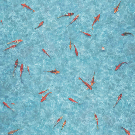 Sol Vinyle/PVC - 2m - fond marin, poisson bleu turquoise et orange KOI - Optima Moonlight par Beauflor