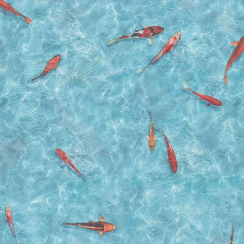 Sol Vinyle/PVC - 2m - fond marin, poisson bleu turquoise et orange KOI - Optima Moonlight par Beauflor