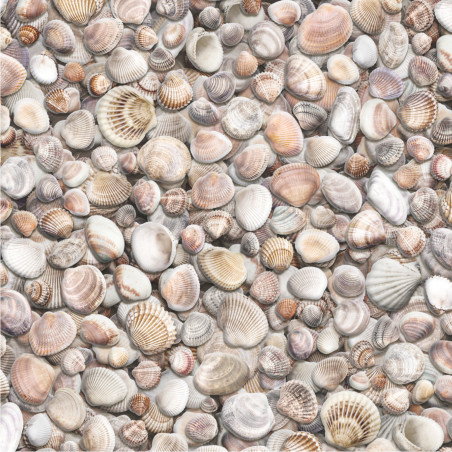 Sol Vinyle/PVC - 2m - coquillages beige et taupe SEASHELLS - Optima Moonlight par Beauflor