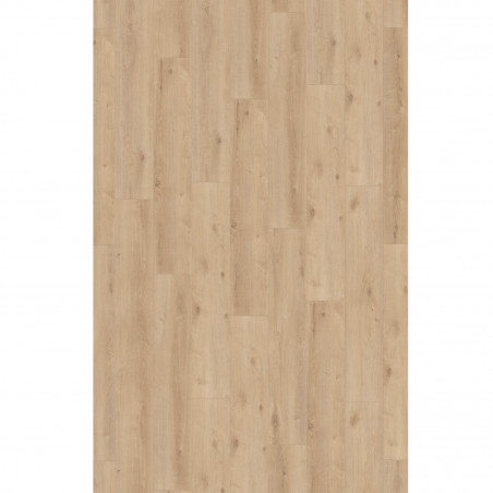Sol Stratifié - CHENE CACHEMIRE BEIGE D6021 - Exquisit Plus  par Kronotex