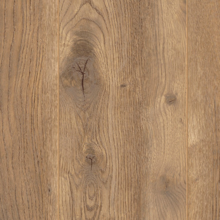 Sol Stratifié - CHENE PETTERSON NATURE D4764 - Exquisit Plus  par Kronotex