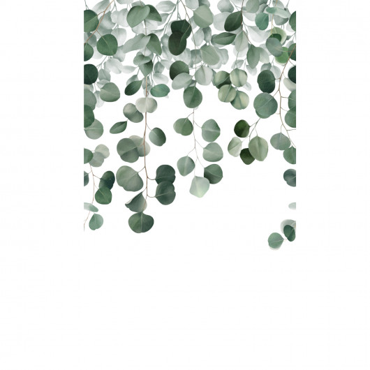 Panoramique vinyle sur intissé végétal vert EUCALYPTUS - Life par Grandeco - A73201