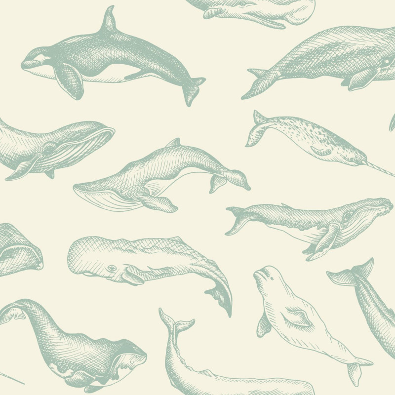 Papier peint vinyle sur intissé animaux aquatiques vert d'eau WHALE DONE - Sea you soon par Caselio - 102797010
