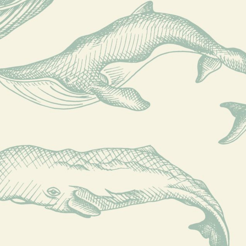 Papier peint vinyle sur intissé animaux aquatiques vert d'eau WHALE DONE - Sea you soon par Caselio - 102797010