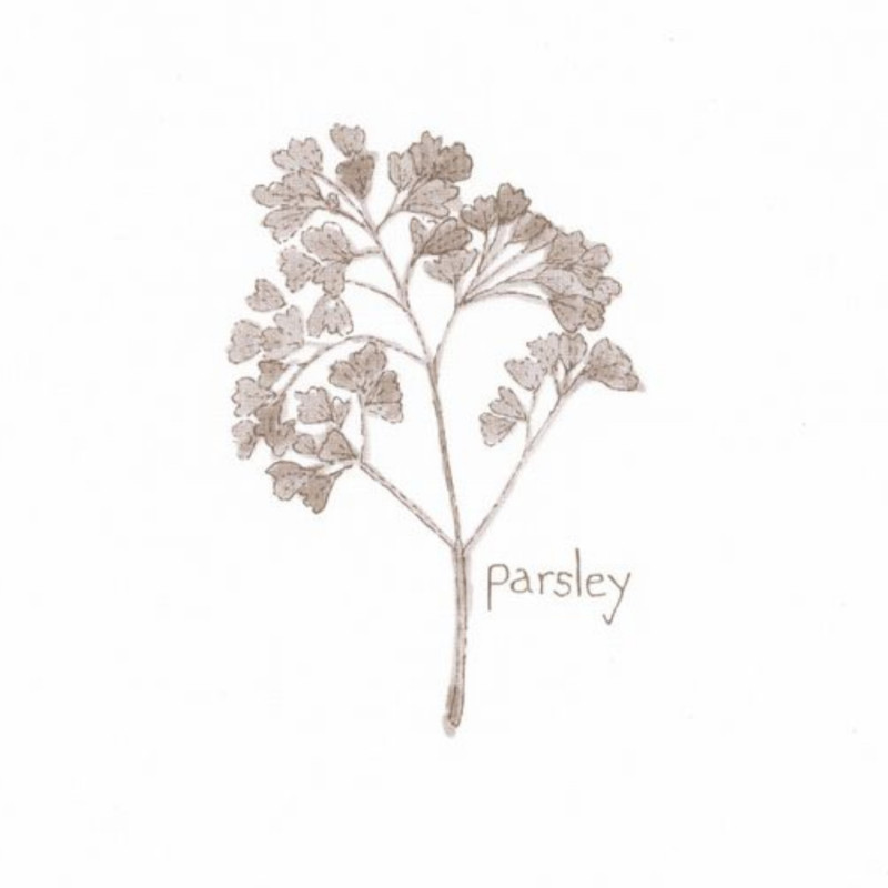 Papier peint vinyle sur intissé végétal taupe BOUQUET GARNI - Au Bistrot d'Alice par Caselio - 100621000