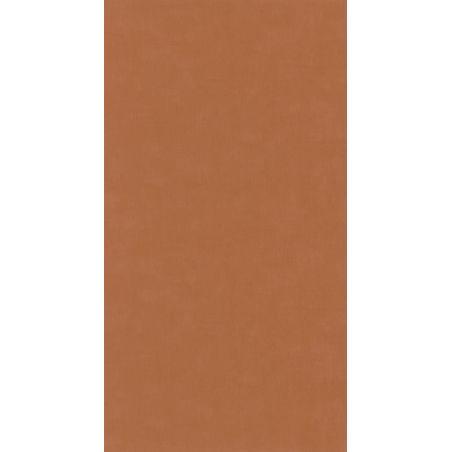 Papier peint vinyle sur intissé uni terre de sienne BASIC - Baltic par Casadeco - 25033110