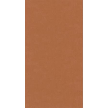 Papier peint vinyle sur intissé uni terre de sienne BASIC - Baltic par Casadeco - 25033110