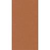 Papier peint vinyle sur intissé uni terre de sienne BASIC - Baltic par Casadeco - 25033110