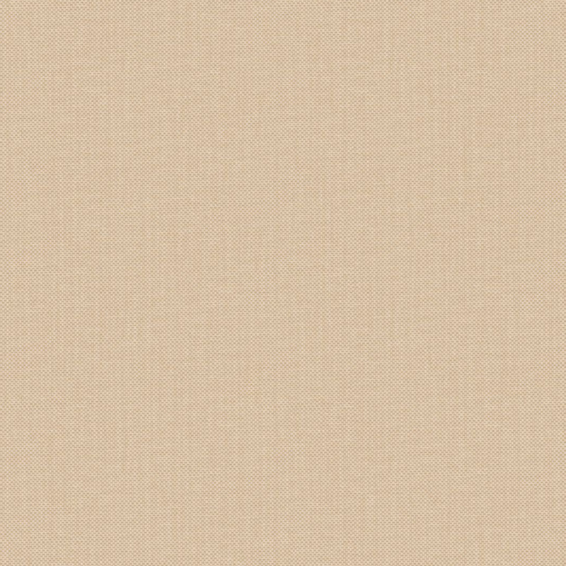 Papier peint vinyle sur intissé uni beige  FICELLE - Natté par Caselio - 101561456