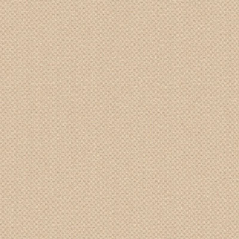 Papier peint vinyle sur intissé uni beige  FICELLE - Natté par Caselio - 101561456