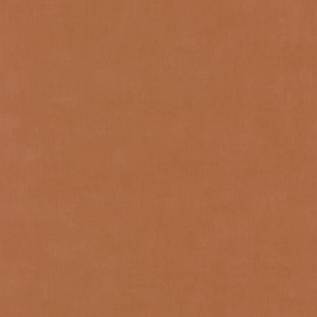 Papier peint vinyle sur intissé uni terre de sienne BASIC - Baltic par Casadeco - 25033110