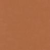 Papier peint vinyle sur intissé uni terre de sienne BASIC - Baltic par Casadeco - 25033110