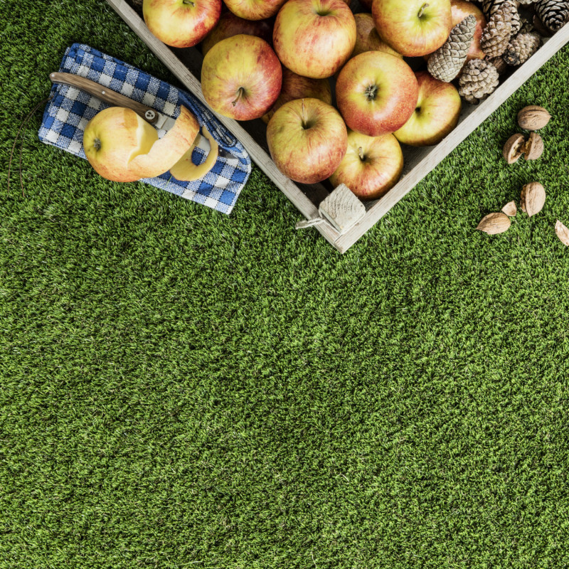 Sol Gazon - 4m - gazon synthétique vert  PETIT DUNE 7265 - Oryzon  par Orotex