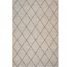 Tapis de salon - 200x290cm - Contemporain gris et noir Newport par Ragolle