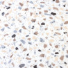 Sol Vinyle/PVC - 4m - terrazzo beige et noir sur fond écru MARMETTE 534 Prestige Ultimate Stone - par IVC