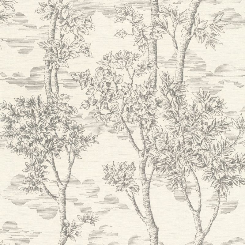 Papier peint intissé végétal gris fusain PAINTED FOREST - Sélection par Rasch - 581607