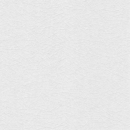 Papier à peindre motif graphique blanc ROLLOVER DÉCO par Erismann
