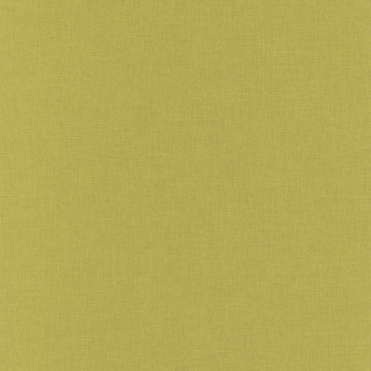 Papier peint vinyle sur intissé uni kaki LINEN - Linen par Caselio - 68527355
