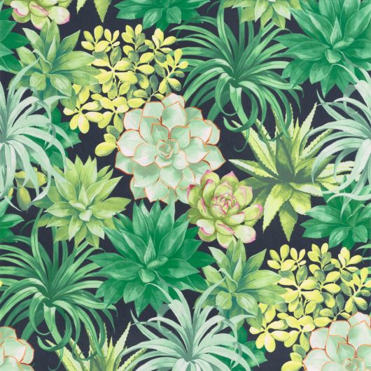 Papier peint intissé végétal vert ECHEVERIA - Botanica par Casadeco - 85917396