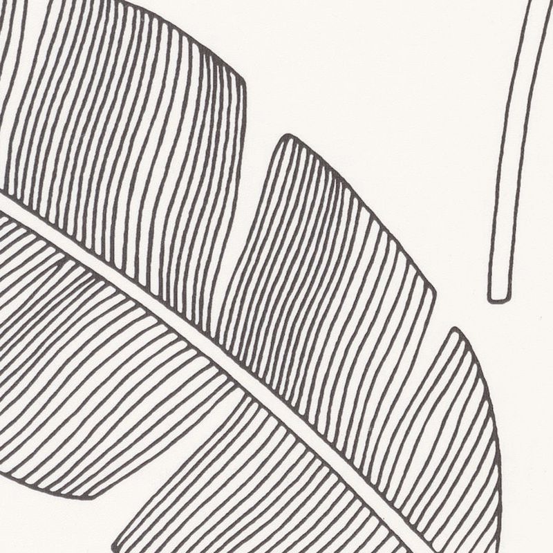 Papier peint vinyle sur intissé végétal noir BANANA TREE - Moonlight par Caselio - 101099007
