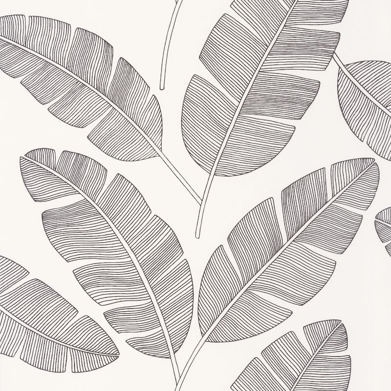 Papier peint vinyle sur intissé végétal noir BANANA TREE - Moonlight par Caselio - 101099007
