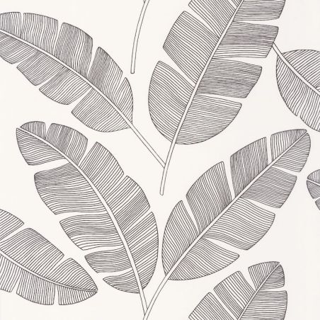 Papier peint vinyle sur intissé végétal noir BANANA TREE - Moonlight par Caselio - 101099007
