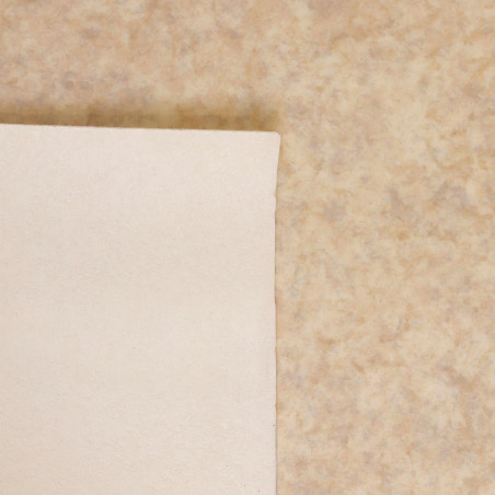 Sol Vinyle/PVC - 4m - uni beige sable - CHATEL 035 - Proline Logisol par IVC
