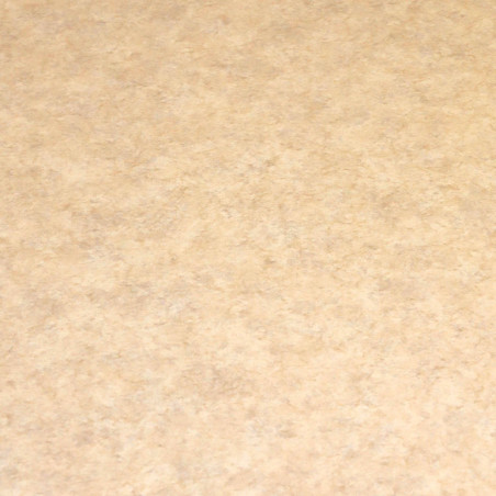 Sol Vinyle/PVC - 4m - uni beige sable - CHATEL 035 - Proline Logisol par IVC