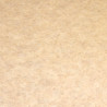 Sol Vinyle/PVC - 4m - uni beige sable - CHATEL 035 - Proline Logisol par IVC